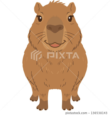 Adorable illustration of a smiling capybara standing in a simple, clean style. 136538143