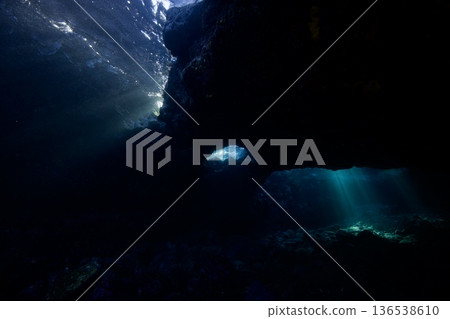 Underwater photography, Higashiizu, Futo Underwater photography, Higashiizu, Futo 136538610