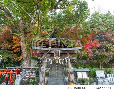神社和鳥居處秋色宜人。 神社和鳥居處秋色宜人。 136538873
