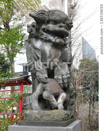 Komainu (A-shaped) at Kumano Shrine in Kanagawa Ward, Yokohama City Komainu (A-shaped) at Kumano Shrine in Kanagawa Ward, Yokohama City 136539050