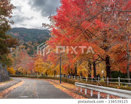 Green Hill Gohara's Taiwan Fuu 的秋葉 136539125
