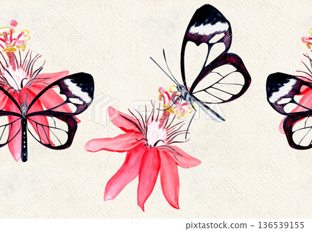 Glasswing butterfly and passionflower blossom elegant watercolor seamless border on beige. Hand-painted art perfect for tropical decor, botanical card, eco branding, packaging, or wedding invitations. Glasswing butterfly and passionflower blossom elegant watercolor seamless border on beige. Hand-painted art perfect for tropical decor, botanical card, eco branding, packaging, or wedding invitations. 136539155