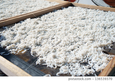 Whitebait drying in the sun 136539370