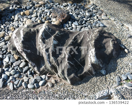 橫濱市神奈川區常福寺的浦島太郎的淚石 136539422