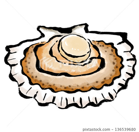 新鮮多汁的扇貝 新鮮多汁的扇貝 136539680