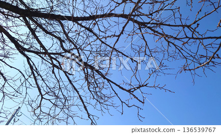 Winter image: Cold weather, rock bottom, and other psychological depictions 136539767