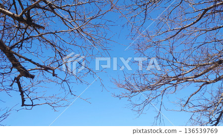 Winter image: Cold weather, rock bottom, and other psychological depictions Winter image: Cold weather, rock bottom, and other psychological depictions 136539769