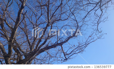 冬季意象：寒冷的天氣、跌入谷底以及其他心理描寫 136539777