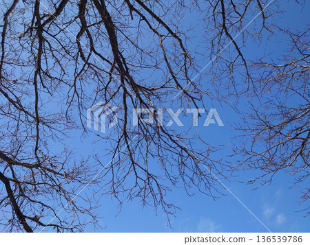 Winter image: Cold weather, rock bottom, and other psychological depictions Winter image: Cold weather, rock bottom, and other psychological depictions 136539786
