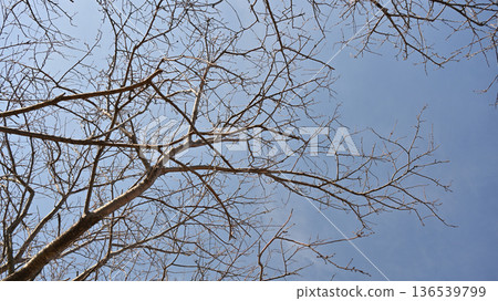 Winter image: Cold weather, rock bottom, and other psychological depictions Winter image: Cold weather, rock bottom, and other psychological depictions 136539799