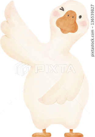 Goose hand drawing Soft Watercolor Clipart Cute Goose Poses Illustration 136539827
