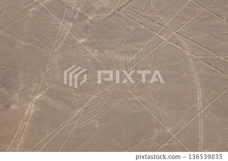 Landscape of Nazca Landscape of Nazca 136539835