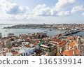Panoramic view of Istanbul 136539914