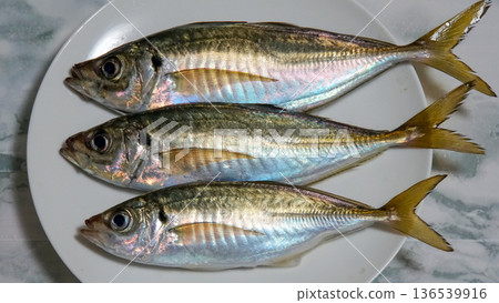 三條新鮮捕獲的竹莢魚，盛放在白色盤子裡。 136539916
