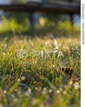 水滴閃耀的田野風景 136540022