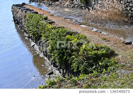 Omura Domain Funagura Ruins (Omura City, Nagasaki Prefecture: Funagura of Kushima Castle) 136540073