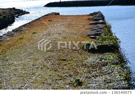 大村藩船倉遺址（長崎縣大村市：串島城的船倉） 136540075