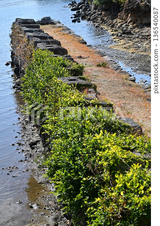 大村藩船倉遺址（長崎縣大村市：串島城的船倉） 136540087