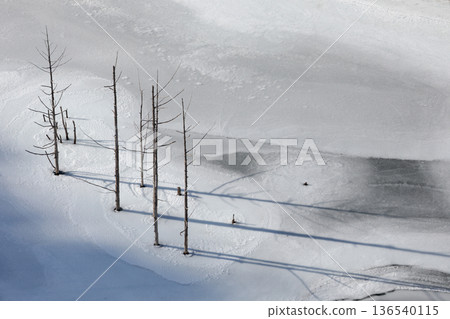 The water level of the dam has dropped, and the remaining trees are now visible, with the lake surface frozen. 136540115
