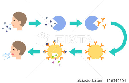 過敏是如何發生的:花粉症的機制 過敏是如何發生的:花粉症的機制 136540204
