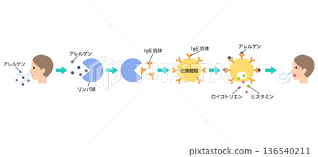 How allergies develop: The mechanism of hay fever How allergies develop: The mechanism of hay fever 136540211