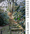 A stone-step path leading into the forest | A tranquil landscape surrounded by nature and light 136540333