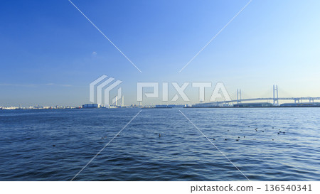 從山下公園看到的橫濱港 136540341