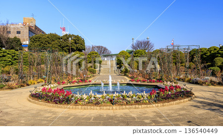 冬天的 Port View Hill 公園 136540449