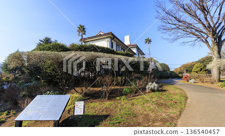 冬天的 Port View Hill 公園 136540457