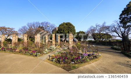 冬天的 Port View Hill 公園 136540459