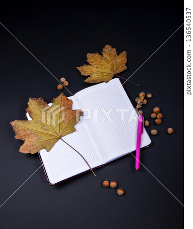 Still life with autumn leaves, nuts, and a pen on a table Still life with autumn leaves, nuts, and a pen on a table 136540537