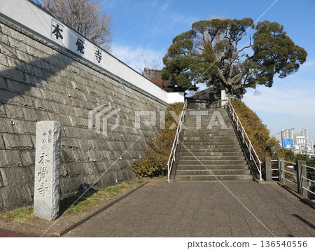 橫濱市神奈川區的本覺寺(大門、寺廟標誌和日本杉樹) 橫濱市神奈川區的本覺寺(大門、寺廟標誌和日本杉樹) 136540556