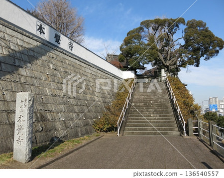Honkakuji Temple in Kanagawa Ward, Yokohama City (gate, temple sign, and Japanese cedar tree) 136540557