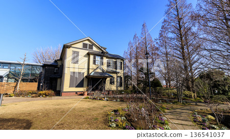 Winter in the Italian Mountain Gardens 136541037