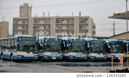 一排公車的圖片 一排公車的圖片 136541093