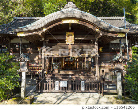 The worship hall of Katsuragi Hitokotonushi Shrine illuminated by the morning sun The worship hall of Katsuragi Hitokotonushi Shrine illuminated by the morning sun 136541206