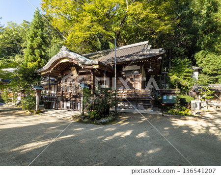 晨曦照耀下的葛城人琴主神社的禮拜殿 136541207