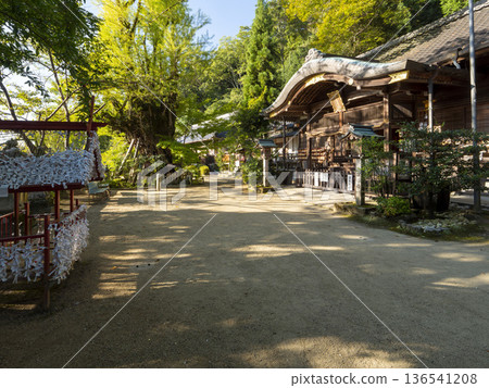 晨曦照耀下的葛城人琴主神社的禮拜殿 136541208