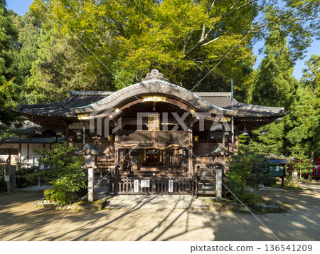 The worship hall of Katsuragi Hitokotonushi Shrine illuminated by the morning sun 136541209