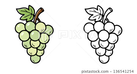 Simple white grape icon illustration Simple white grape icon illustration 136541254
