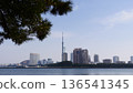 從愛宕濱看到的桃地市建築與城市景觀 136541345