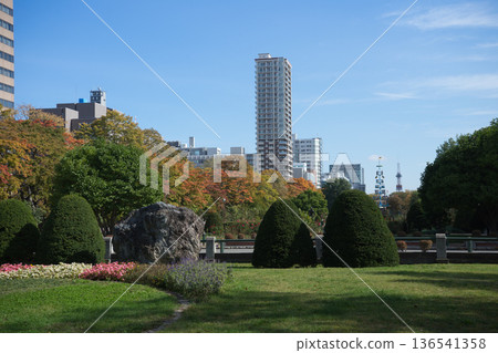 秋日藍天，公園美景 136541358