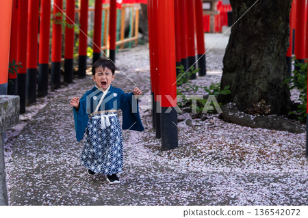 穿著袴裙的哭鬧嬰兒 穿著袴裙的哭鬧嬰兒 136542072