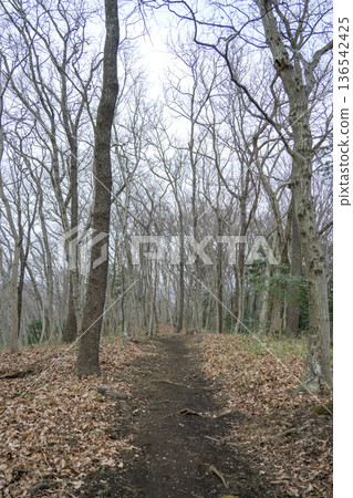山地步道健行課程登山秋冬季圖片 136542425