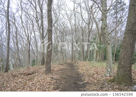 Mountain trail hiking course mountain climbing autumn winter image 136542599