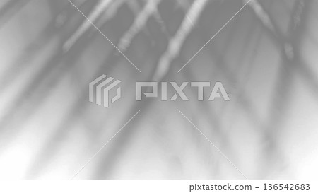 Abstract Monochrome Light Rays Background With Soft Blur on transparent background Abstract Monochrome Light Rays Background With Soft Blur on transparent background 136542683