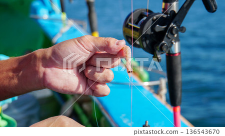 特寫鏡頭：一隻手正在將磷蝦餌料綁到魚鉤上 136543670