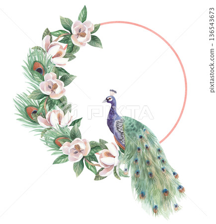 Wreath of the peacock, feathers and branch of magnolia. Handmade watercolor illustration. For cards, cover, wallpaper, prints, product labels and fabric. Wreath of the peacock, feathers and branch of magnolia. Handmade watercolor illustration. For cards, cover, wallpaper, prints, product labels and fabric. 136543673