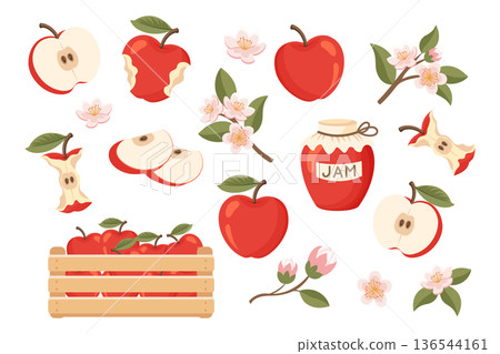 Set of apples fruits. Whole and sliced, flowers. Illustration. 136544161