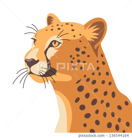 Elegant cheetah portrait. Cheetah head profile. Graphic illustration of predator animal. 136544164